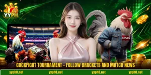 Cockfight Tournament - Follow Brackets And Match News