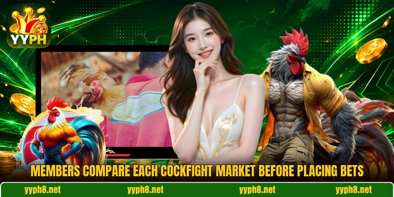 Members compare each cockfight market before placing bets