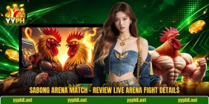 Sabong Arena Match - Review Live Arena Fight Details
